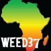 WeeD37