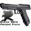 blackbird83