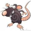 lerat