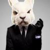 ClassyRabbit