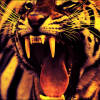Â«_Superm@nÂ«
